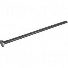Zenith Safety Products SEH144 - Rebar Spike